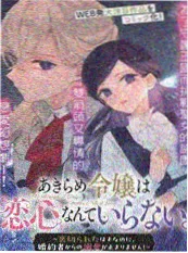 归途有光 短剧海报